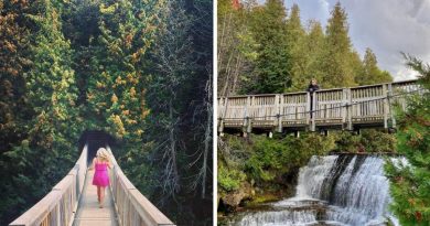 this-hike-near-toronto-has-a-hidden-swing-bridge-that-takes-you-right-over-a-waterfall-–-narcity-canada