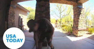UPS driver collapses on front porch from heat exhaustion in Arizona | USA TODAY #shorts
