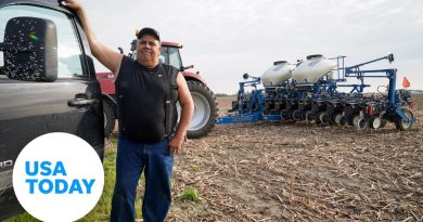 Fertilizer prices reaching record highs, worrying farmers as planting season is underway | USA TODAY