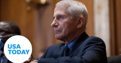 Dr. Fauci says our 'new normal' will include living with COVID-19 | USA TODAY