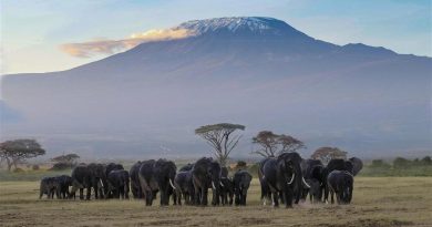 airfare-of-the-day-ethiopian-airlines-toronto-to-mount-kilimanjaro-from-$1931/ca$2520-–-loyaltylobby