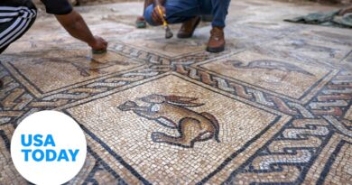 Ancient Byzantine-era mosaic discovered by farmer on the Gaza Strip | USA TODAY