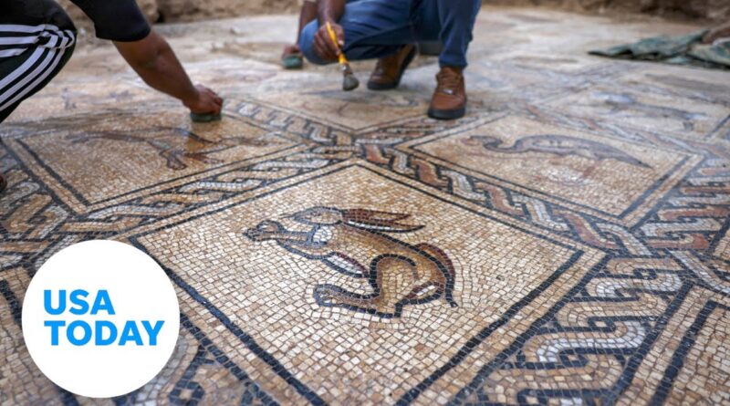Ancient Byzantine-era mosaic discovered by farmer on the Gaza Strip | USA TODAY