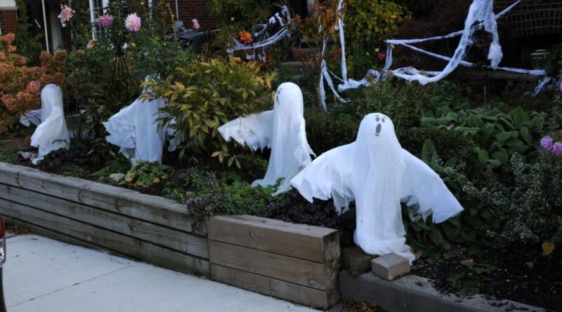 best-ontario-towns-to-visit-for-halloween-(close-to-toronto)-–-thetravel