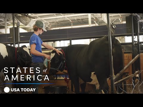 Farmers in crisis  | States of America