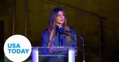 Actor Priyanka Chopra touches on climate change, poverty in UN speech | USA TODAY