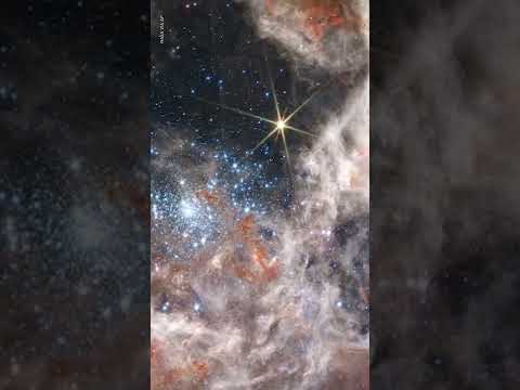 Tarantula Nebula captured by James Webb Space Telescope | USA TODAY #Shorts