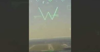 Cockpit video shows bird flying into military jet engine, causing crash | USA TODAY #Shorts
