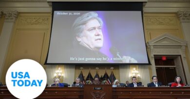 Bannon said Trump planned to say he won election before voting began | USA TODAY