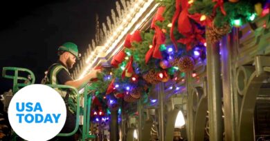Disney holidays arrive: What it takes to make magic at Disney World | USA TODAY