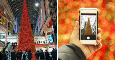 the-toronto-eaton-centre-will-not-put-up-its-massive-christmas-tree-this-year-&-here’s-why-–-narcity-canada