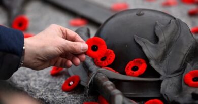 what’s-open-and-closed-this-remembrance-day-in-ottawa-–-cbc.ca