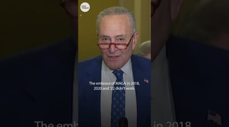 Schumer to Republicans: ‘Embrace MAGA, you're going to keep losing’ | USA TODAY #Shorts
