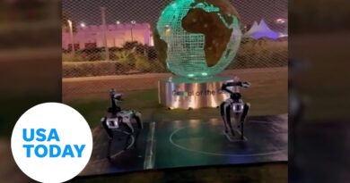 World Cup fans in Qatar dazzled by dancing four-legged robots | USA TODAY