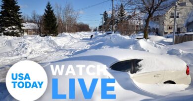 Watch live: Weather in Buffalo, New York webcam