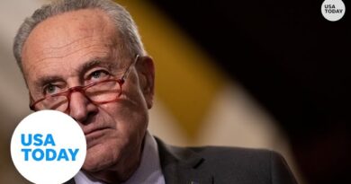 Chuck Schumer rips Trump for 'termination' of Constitution comments | USA TODAY