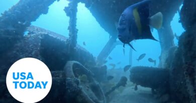 Qatar uses old vehicles as underwater reefs | USA TODAY
