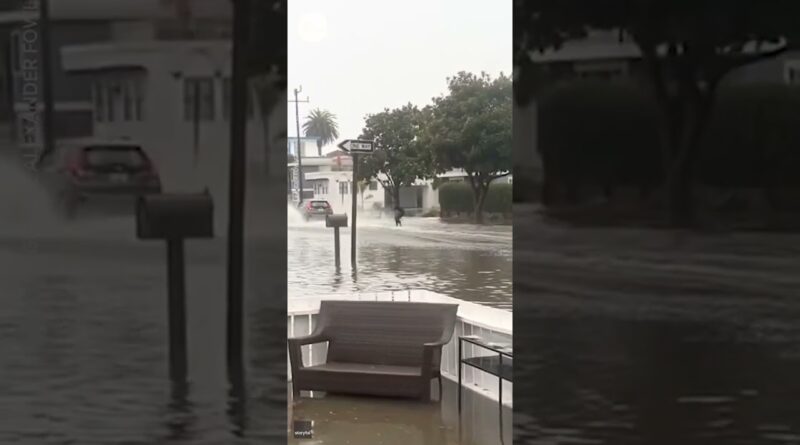 California man street surfs after heavy flooding in Santa Cruz | USA TODAY #Shorts