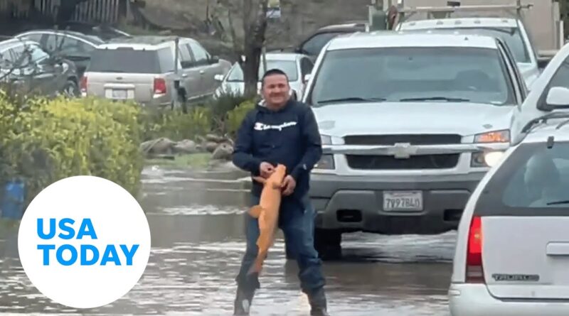 Man snags large fish on a flooded road following California storms | USA TODAY