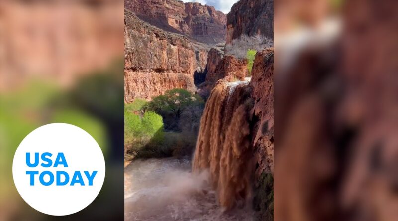 Grand Canyon flash flooding forces hikers, campers to evacuate | USA TODAY